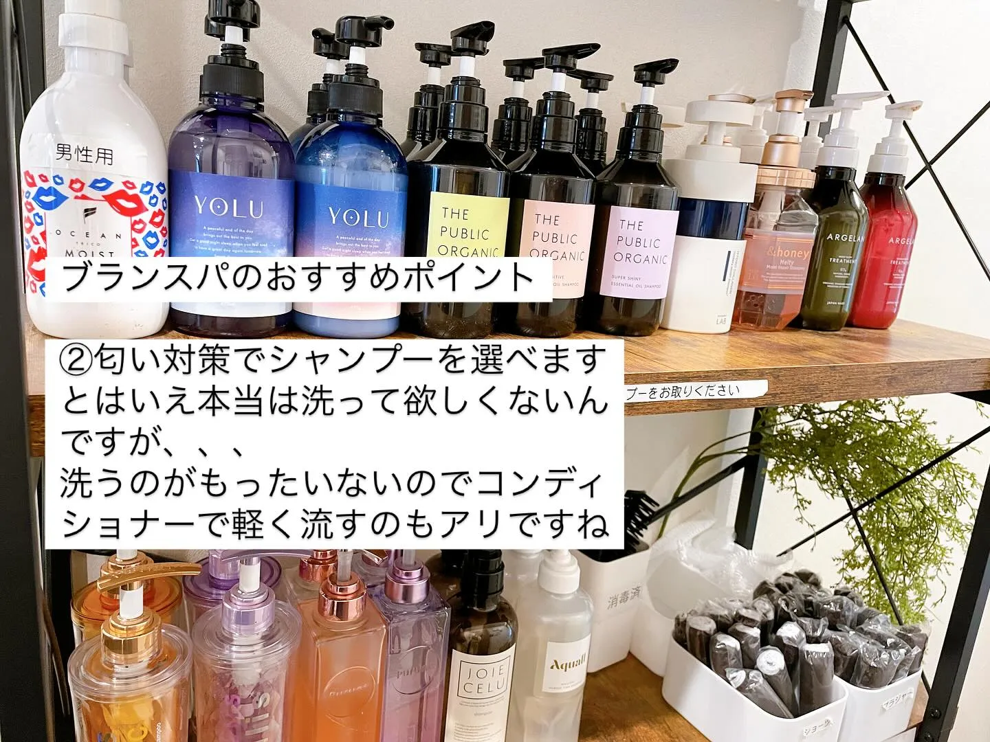 【酵素風呂といえばブランスパ】