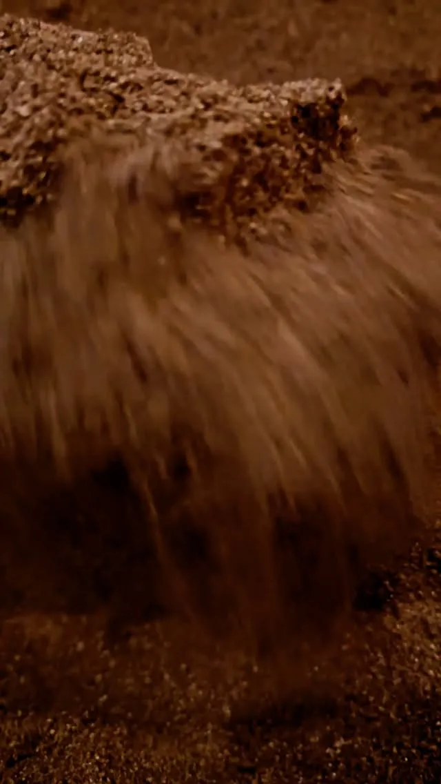 【自分の機嫌が自分でとれちゃう酵素風呂】