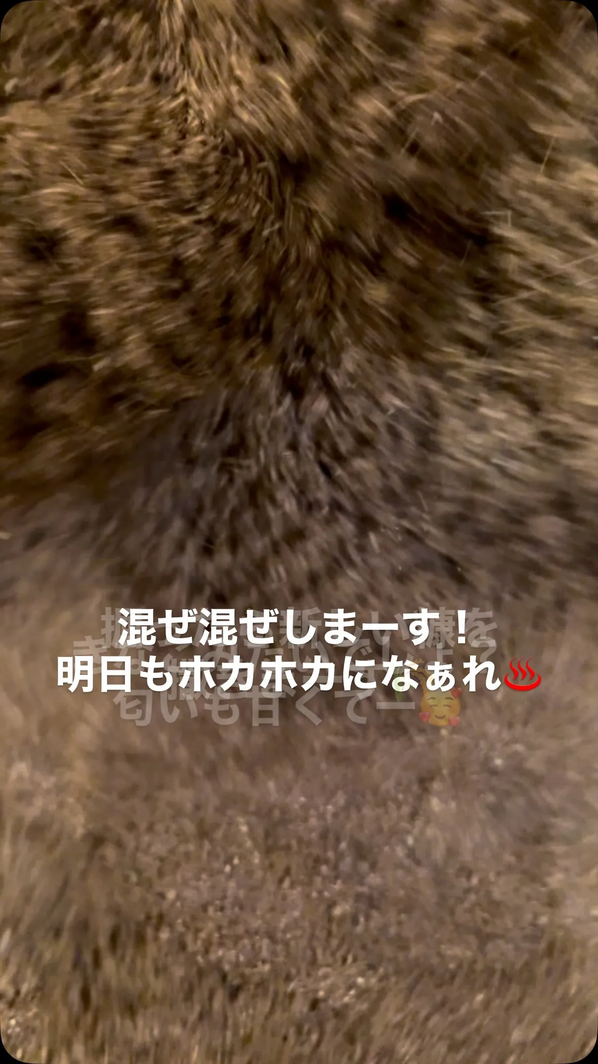 【発酵前後でいろんな変化】