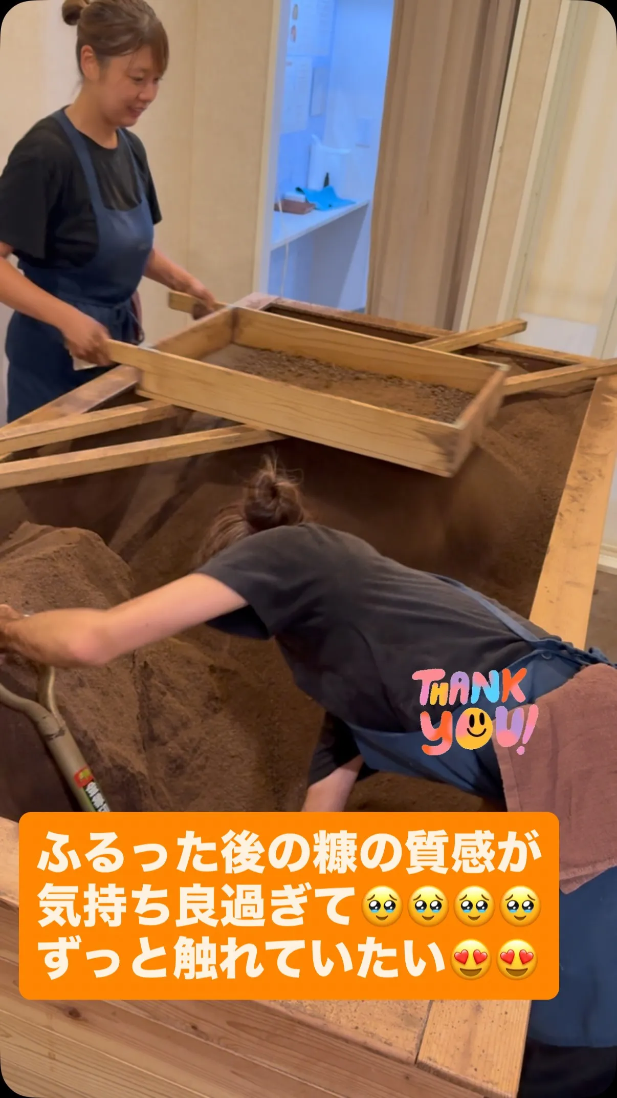 【涼しさにホッとしますね】