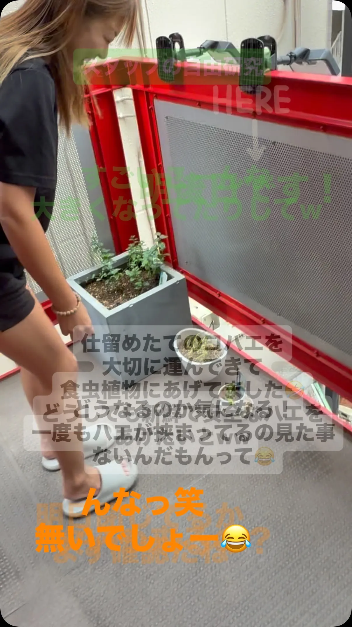 【平和です笑】