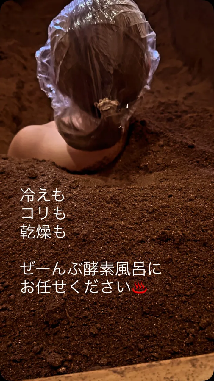 【木枯らし1号🍂🌬️】